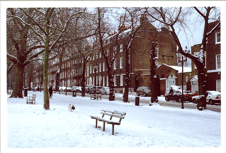 Snow in London Snow in London