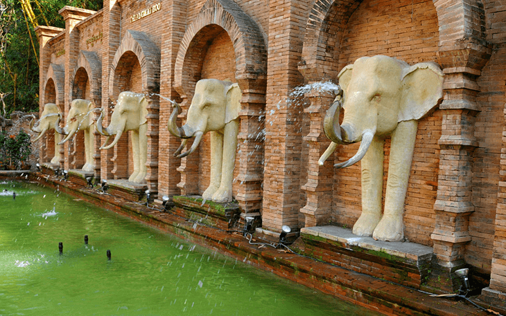 Chiang-Mai-Aquarium