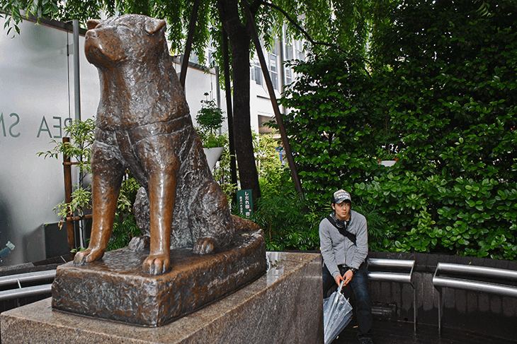 One Week in Tokyp Japan:  Day 5 Hachiko