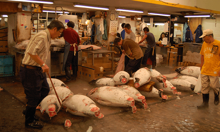 One Week in Tokyo Japan:  Day 4 Tsukiji Fish Market