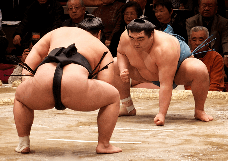Japanese Culture: Japanese Sumo