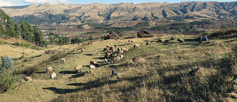 How Many Days in Cusco is Enough: Sacred Valley