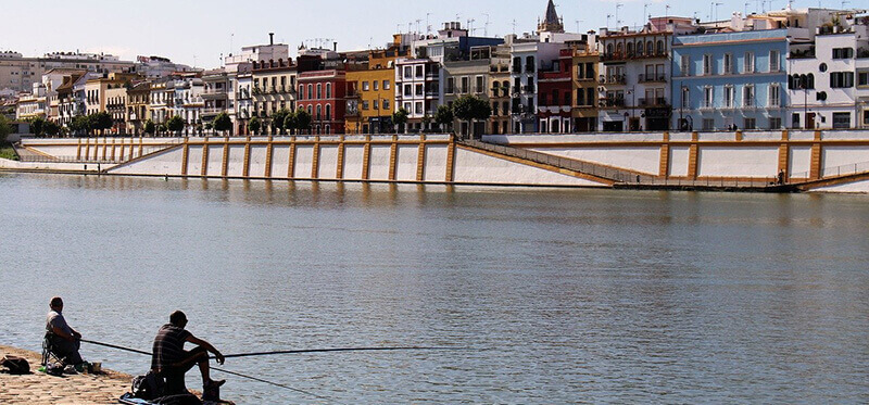 Triana