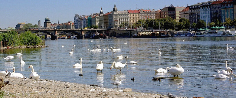 Smichov / Andel (Prag 5), bra läge, billigare