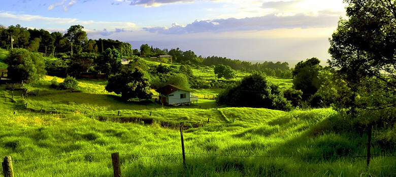 Kula, where to stay in Maui for farm tours