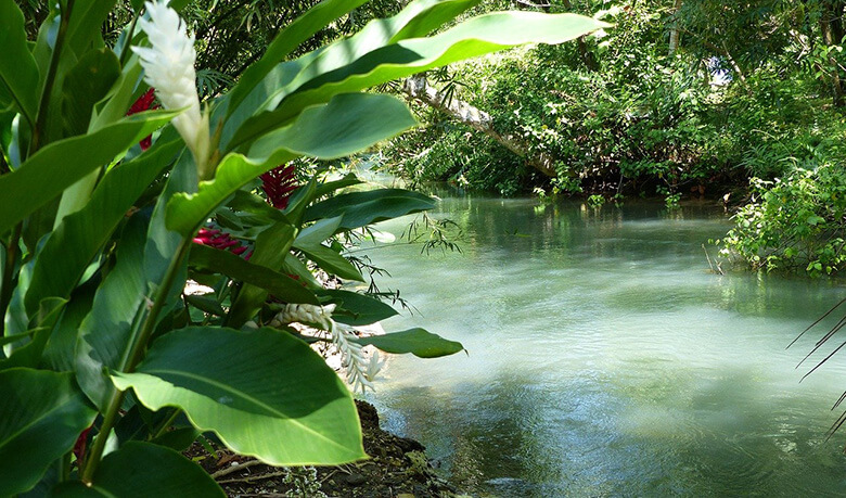 Port Antonio, where to stay for surfing and outdoor activities