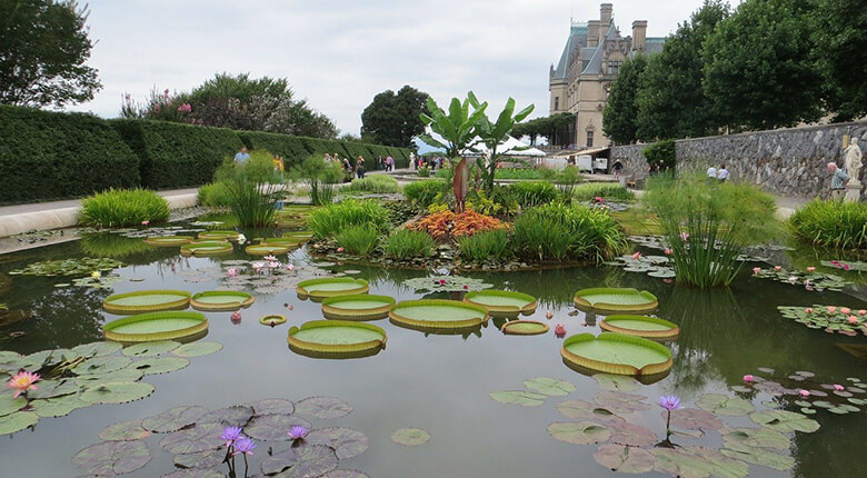 Biltmore, where to stay in Asheville for families