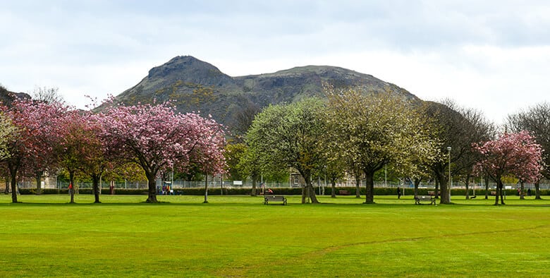 The Meadow Park, Edinburgh