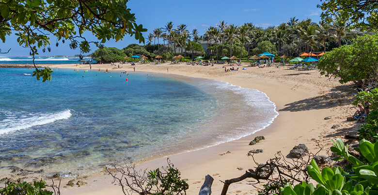 Turtle Bay on the North Shore, for surfing, diving and fishing