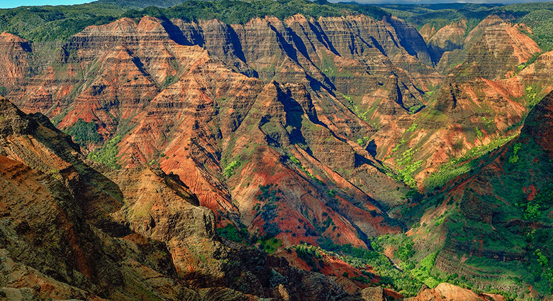 Waimea