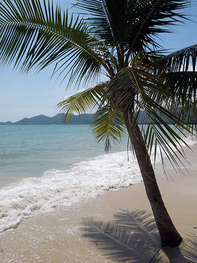 Where to Stay in Koh Samui with Family